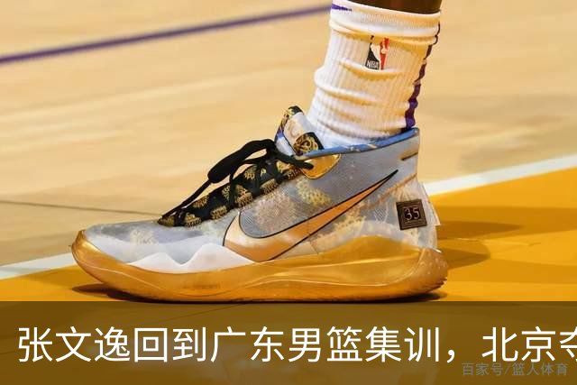 张文逸回到广东男篮集训，北京夺冠功勋确定退役，上海欲续约弗格